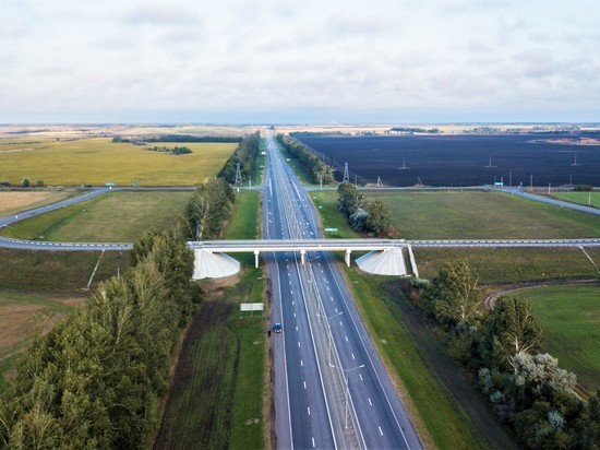 В Тамбовской области начали ремонтировать мост, поврежденный фурой