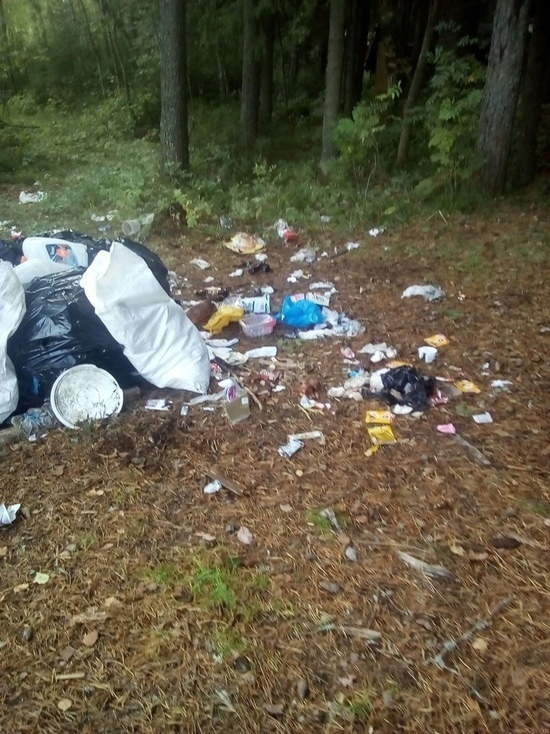«Мешки уже надорваны птицами и собаками»: жители Питкяранты собрали мусор, но власть его не вывозит