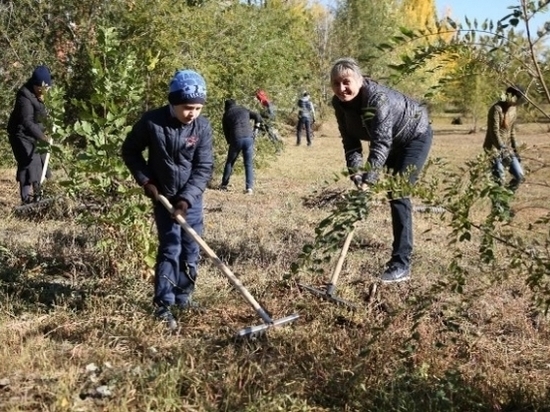 Общегородской субботник прошел в Волгограде