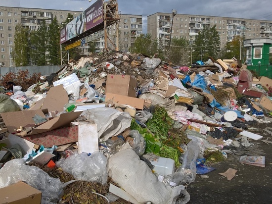 Администрация Екатеринбурга дополнительно выделила 6 миллионов на мусор