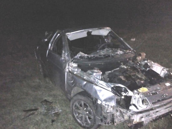 На трассе в Тамбовской области ВАЗ вылетел в кювет: водитель погиб
