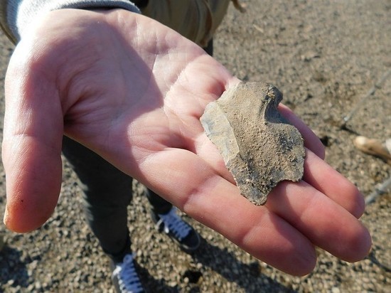 В Кировской области обнаружили фрагмент древнего орудия
