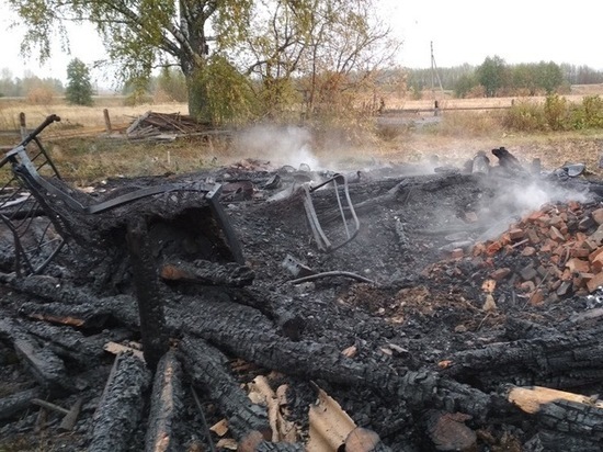 Житель Мордовии погиб в огне: причины устанавливаются