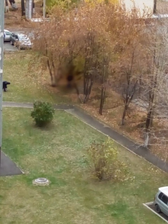 В Кемеровском дворе очевидцы обнаружили тело подростка