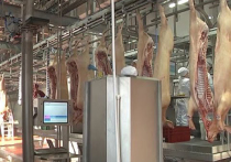 Агрохолдинг «Мираторг» приступил к строительству высокотехнологичного мясоперерабатывающего предприятия мощностью переработки до 4,5 млн