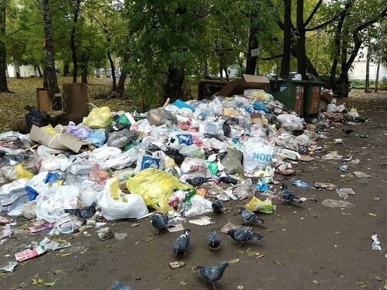 Глава администрации Кирова недоволен работами по вывозу мусора
