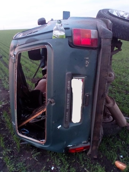 Автомобиль "Нива" перевернулся на полевой дороге: водитель погиб, трое в больнице