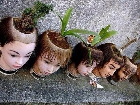 «Сидела тихо»: В парикмахерской Улан-Удэ горшки для цветов сделали из голов манекенов