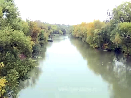 Экологи расчистили реку Становая Ряса в Липецкой области