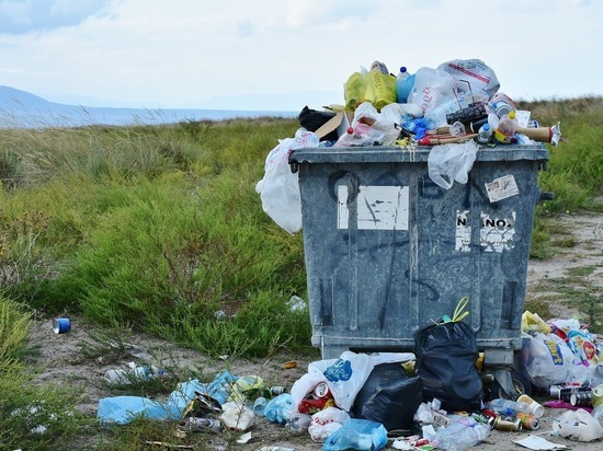 В каждой из семи зон в Алтайском крае будет работать свой оператор по вывозу мусора