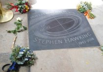 На сайте библиотеки Корнеллского университета была опубликована научная работа, над которой знаменитый физик-теоретик Стивен Хокинг работал до последних дней своей жизни