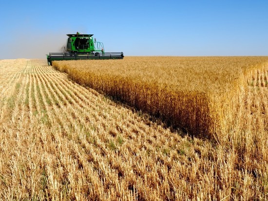 Из бюджета Ульяновской области будет выделено два миллиарда на сельское хозяйство