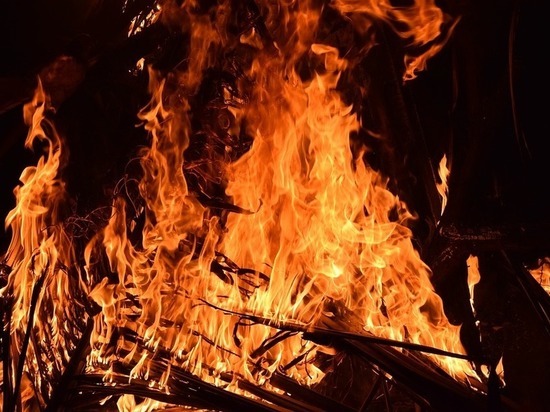 В Оренбургском районе в СНТ «Мечта» сгорел дачный домик и теплица