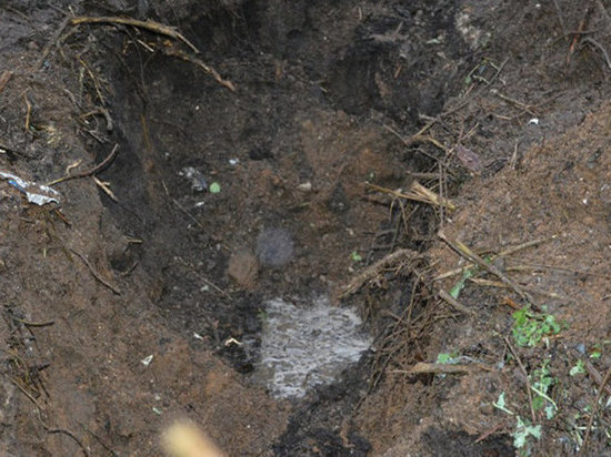 Кемеровчанин закопал во дворе труп убитого племянника