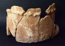 Группа исследователей из Польши, представляющих Ягеллонский университет, обнаружили на юге Иордании древнее поселение и ряд артефактов, датируемых эпохой неолита