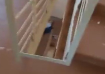 Несколько девочек с преподавателем Керчинского политехнического колледжа вместе с учительницей спаслись от убийцы Владислава Рослякова, спустившись по лестнице на первый этаж — там они смогли вылезти через окно