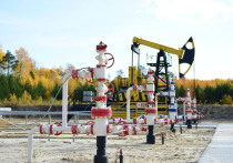 Крупнейшее нефтегазодобывающее Общество ПАО «НК «Роснефть» — «РН-Юганскнефтегаз» 9 октября 2018 года установило абсолютный исторический рекорд суточной добычи нефти — 197,193 тыс