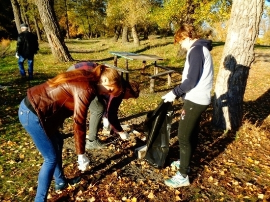 Волонтеры убрали берег реки в Волгоградской области