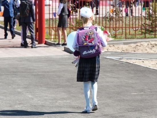 В Улан-Удэ дороги около школ оказались опасны для детей-пешеходов