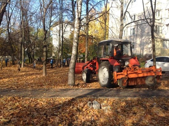 Участники санитарной пятницы убрали с улиц Ульяновска тысячу кубометров мусора