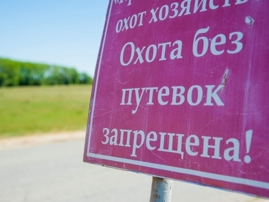 В Волгоградской области продлили сезон охоты на фазана