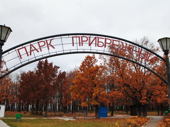Бизнесмены Ульяновска вложатся в парк «Прибрежный»
