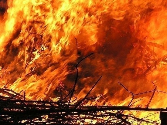 В Бурятии горело заброшенное здание, бревенчатая кошара и зимовье