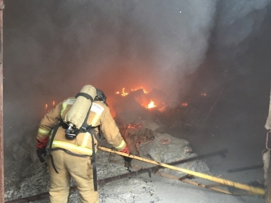 В Щекинском районе сгорел картон