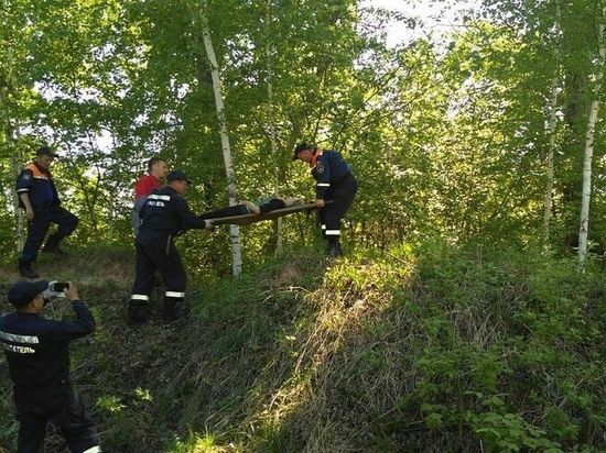 В Ульяновске спасатели вытащили упавшую в овраг женщину
