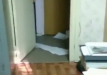 Пинавший ногами заявления граждан экс-участковый из подмосковного Королёва озаботился своей репутацией