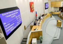 Госдума приняла в первом чтении федеральный бюджет России на 2019-2021 годы