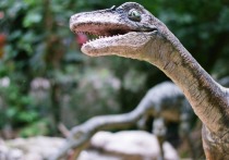 Дыхательная система динозавров напоминала скорее птичью, чем ту, что сегодня встречается у многих других животных