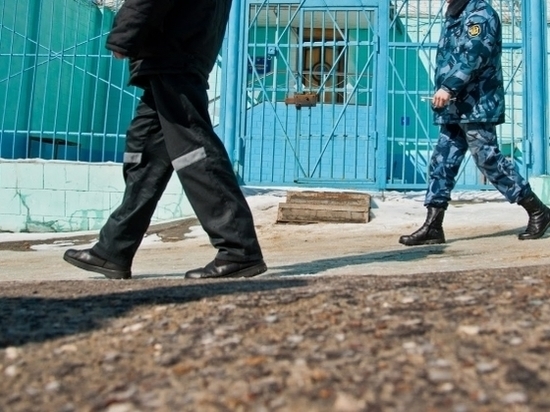 Волгоградца, не уплатившего 11 млн руб. налогов, оставили за решеткой