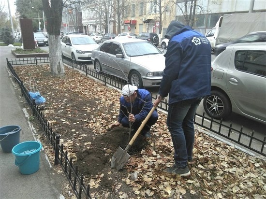 Сотрудники КВС высадили саженцы деревьев