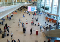 Ряд запретов, действовавших на территории трех расположенных в Подмосковье аэропортов с апреля 2018 года, отменили депутаты Мособлдумы