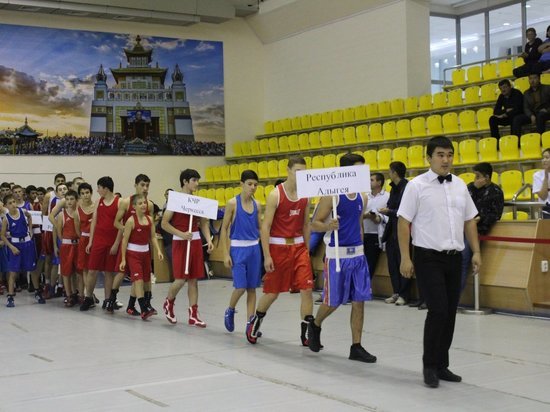 В Калмыкии проходит турнир памяти известного тренера по боксу