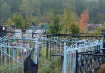 Новое городское кладбище откроется в подмосковных Мытищах в следующем году