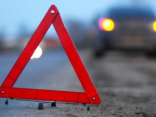 На безлюдном участке трассы в Архангельской области под колёсами погиб человек
