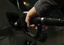 Средние розничные цены на топливо в России на прошлой недели показали рост