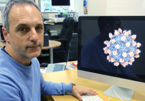 Исследователи из Новой Зеландии, представляющие Университета Отаго, пришли к выводу, что вирус SVV, также известный как вирус долины Сенека или вирус Сенека-Валли, способен бороться с раковыми клетками
