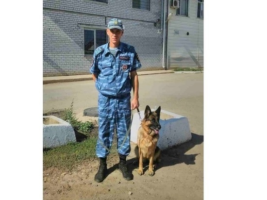 В Астраханской области служебная собака помогла найти убийцу