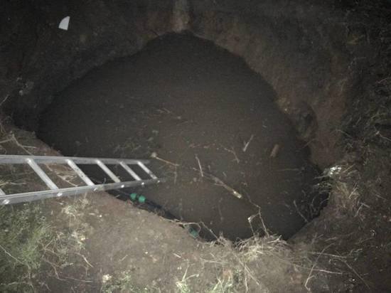 В Тамбовской области грибник утонул в трехметровой яме