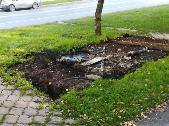 В Кемерове из Парка победы убрали уличные туалеты