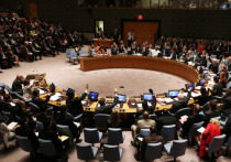 Франция, Нидерланды, Польша, Швеция, Великобритания, Италия, Бельгия и Германия заявили в Совете Безопасности ООН, что не признают выборы на территории самопровозглашенной ДНР, которые запланированы на 11 ноября
