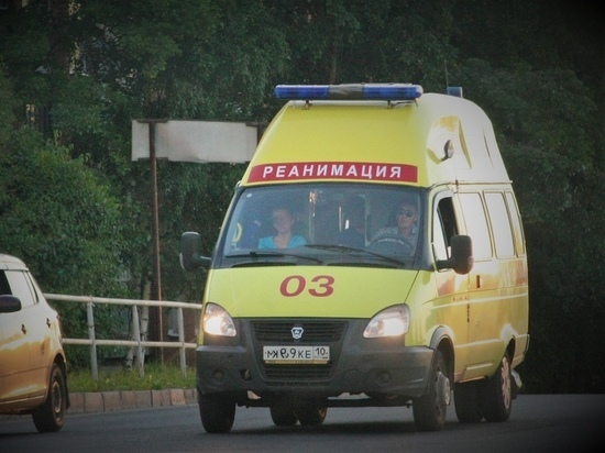 В Карелию до конца года поступят 19 новых машин скорой помощи