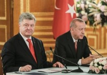 Президент Украины Петр Порошенко во время встречи с главой Турции Реджепом Тайипом Эрдоганом в Стамбуле предложил ввести на Донбасс турецких солдат в рамках миротворческой миссии ООН