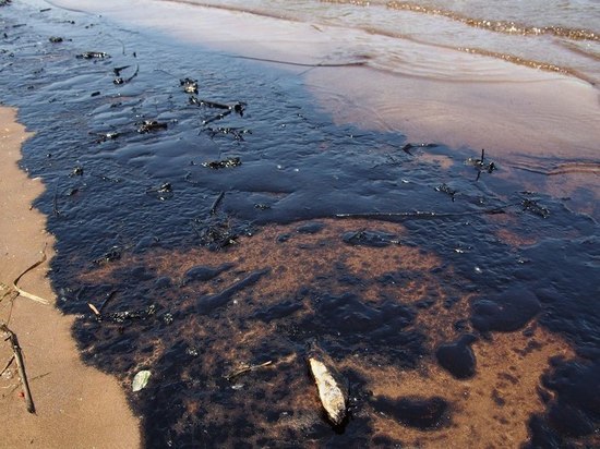 В районе Варавино-Фактории в акватории Архангельского морского порта зафиксирован разлив нефтепродуктов. Грязь покрывает воду на протяжении 600 метров, а также прибрежный песок