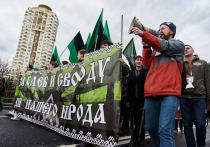 На политической арене, не только официальной, но и оппозиционной, всегда существовал свой истеблишмент и прослойка, которую можно было бы назвать маргинальной