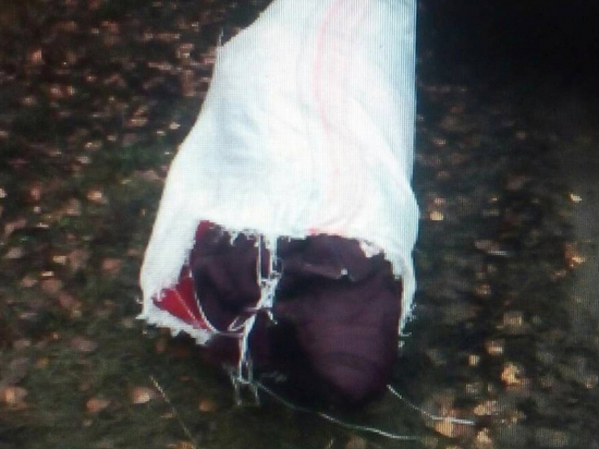 Трое жителей Чувашии похитили у продавца мешок с женскими куртками