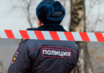 Стали известны новые подробности о двойном убийстве женщины и её 12-летнего сына на севере Москвы